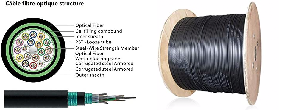 Octofibre - Cable Fibra Óptica Router - 50 Metros - Reforzado con Blindaje  de Kevlar - SC APC a SC APC - 10 Años de Garantía : : Informática